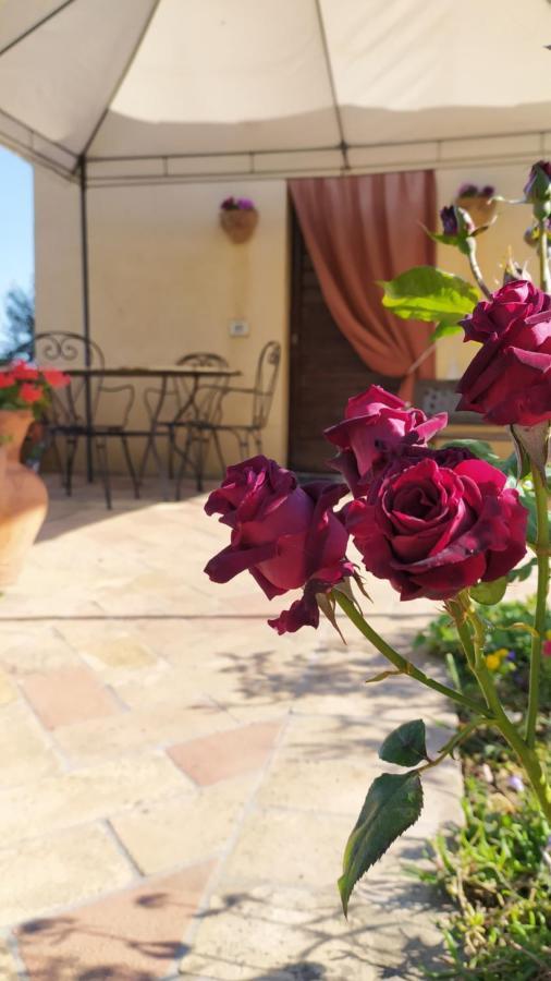 Il Casale Di Fiore Cannara Dış mekan fotoğraf