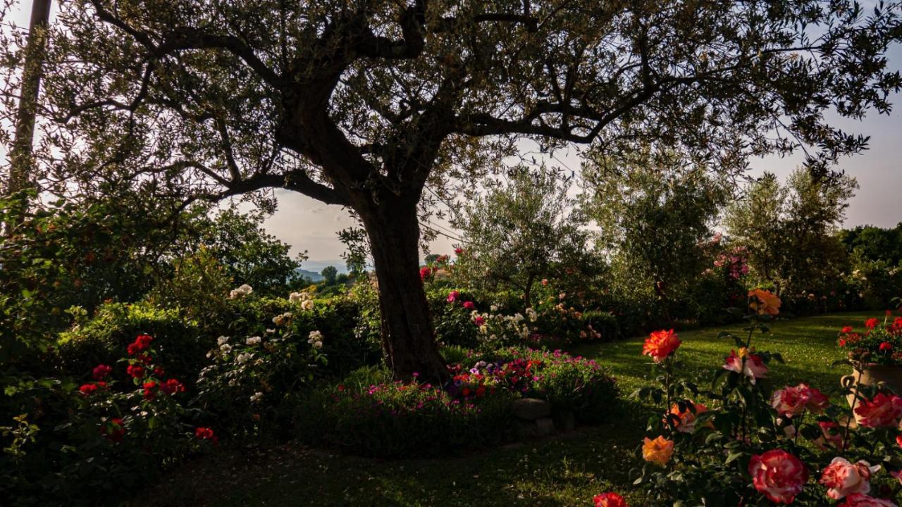 Il Casale Di Fiore Cannara Dış mekan fotoğraf