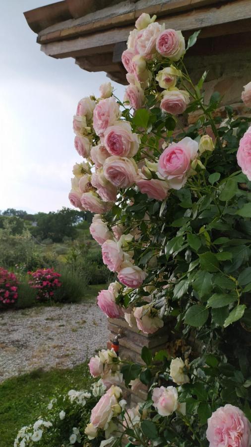 Il Casale Di Fiore Cannara Dış mekan fotoğraf